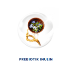 PREBIOTIK INULIN