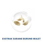 SAARANG BURUNG WALET